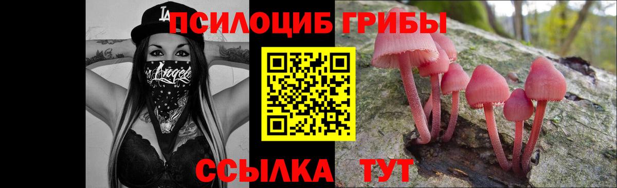 Псилоцибиновые грибы GOLDEN TEACHER  Вход с VPN  Аша 