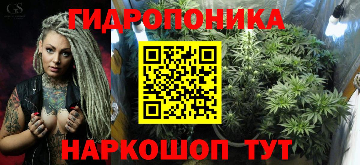 Каннабис сатива  Конопля планчик  Вход с VPN  Аша  Каннабис VHQ 